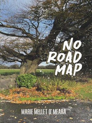 cover image of No Road Map
